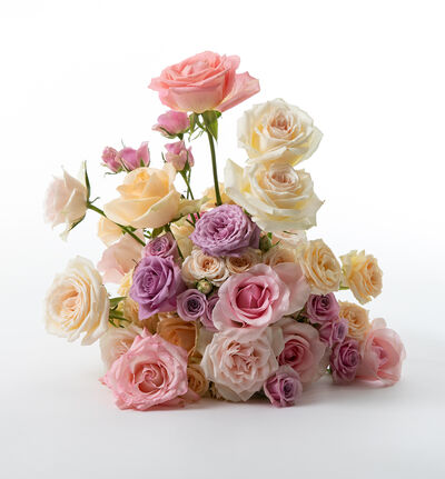 Borddekorasjon med pastell roser stor Borddekorasjon med pastell roser stor